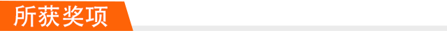 所获奖项