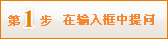 第1步 在输入框中提问